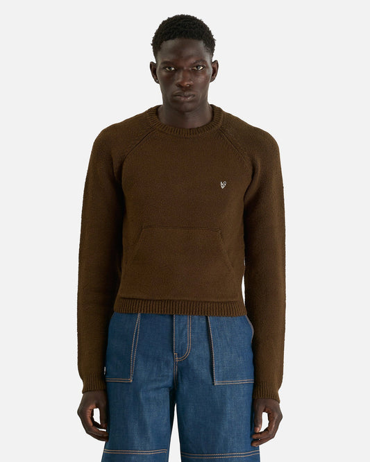 Acne Studios Men's Knitwear Knit Pullover in Brown